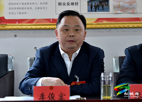 ​李俊宏参加乌罗冷水溪石梁代表团审议时强调