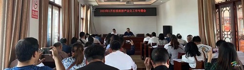 松桃旅游产业化工作专题会召开