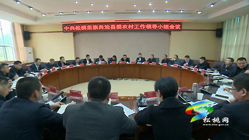 李俊宏在县委农村工作领导小组会议上强调