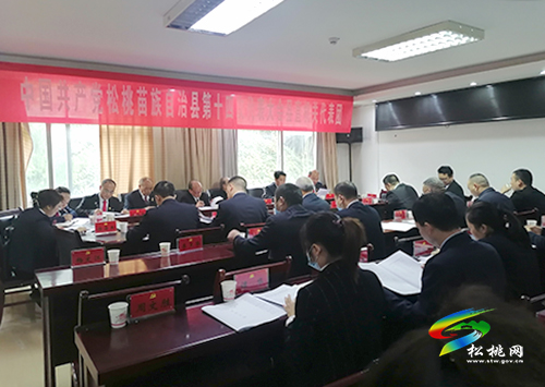 中国共产党松桃苗族自治县第十四次代表大会县直机关代表团讨论《报告》