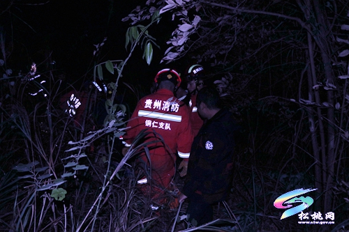 男子遭野猪袭击被困山上松桃消防紧急救援