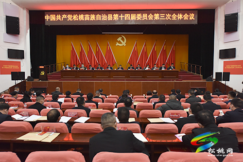 中国共产党松桃苗族自治县第十四届委员会第三次全体会议顺利开幕