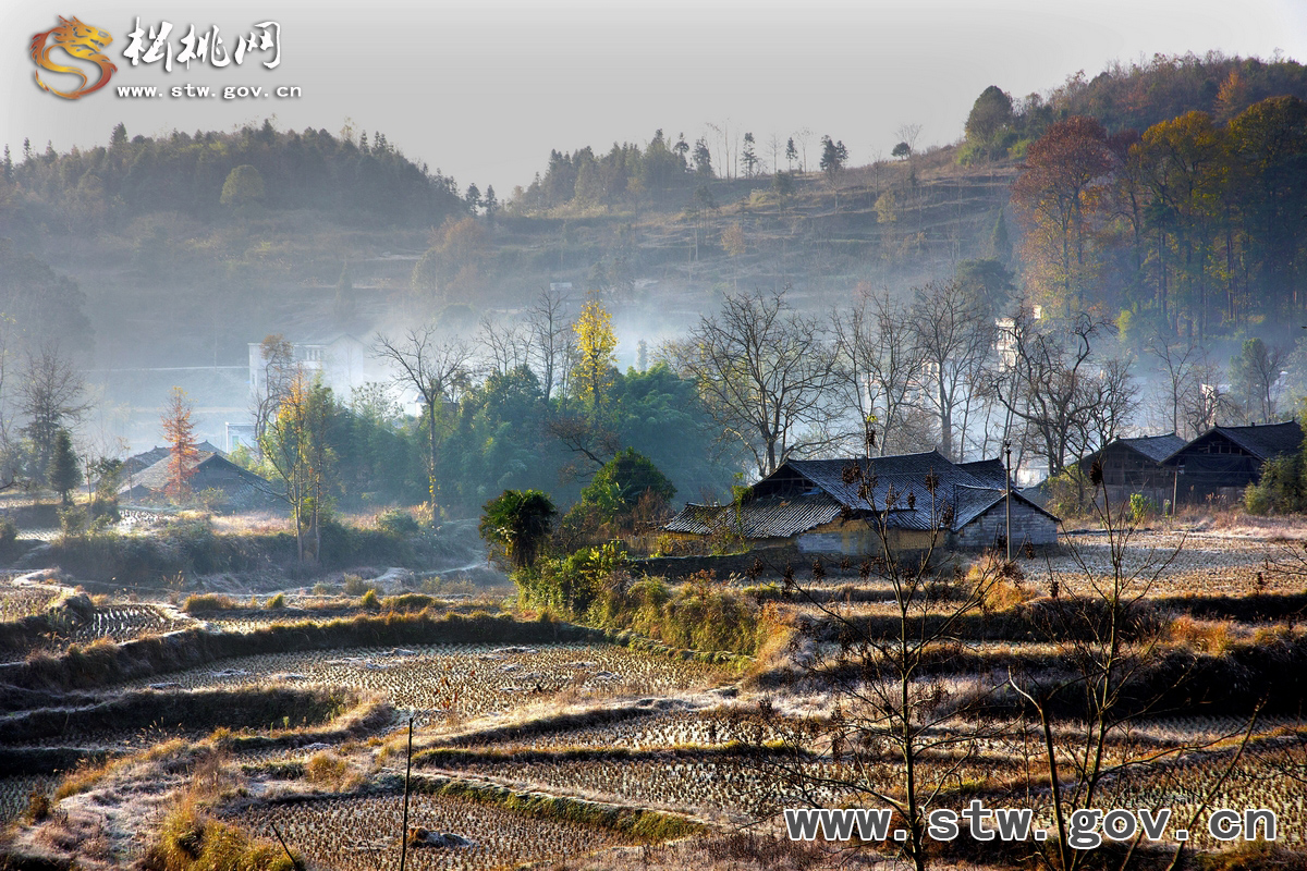 中国摄影报走进盘信获奖作品赏析（二）