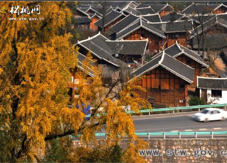 中国摄影报走进盘信获奖作品赏析（二）