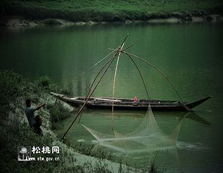 石花，守望湘黔边区的娇艳“西子”