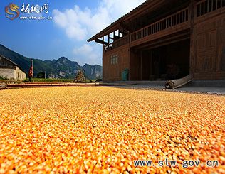 秋天又是一个丰收季