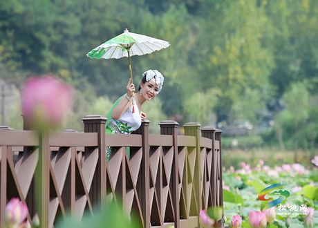 游马鞍·戏采荷