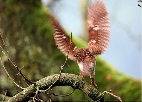 首届松桃摄影艺术作品展【三】