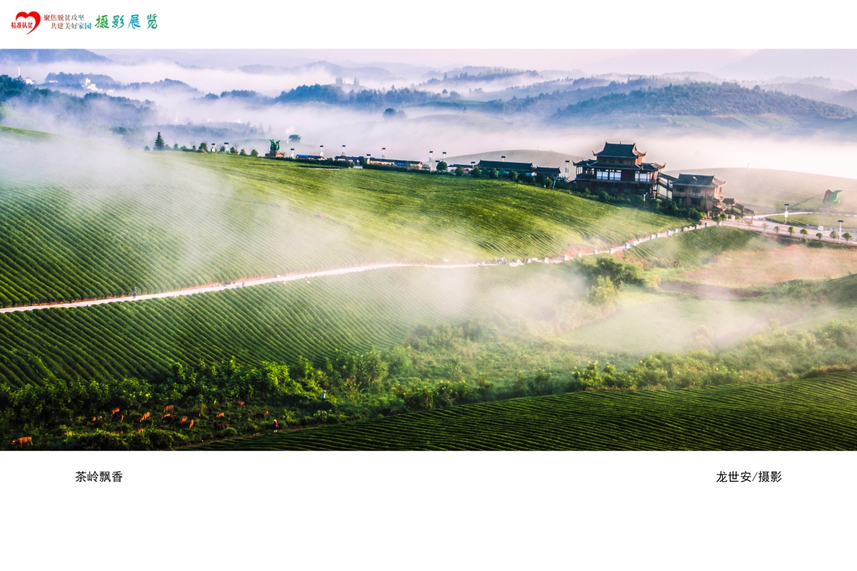 聚焦脱贫攻坚 共建美好家园摄影展（一）