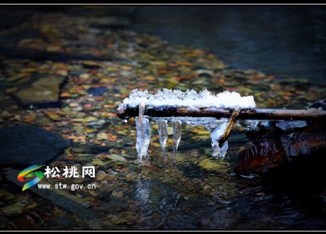 行摄松桃：雪色阳雀　梦幻水语