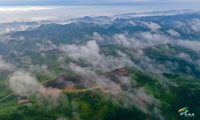 松桃：夏日美景如画
