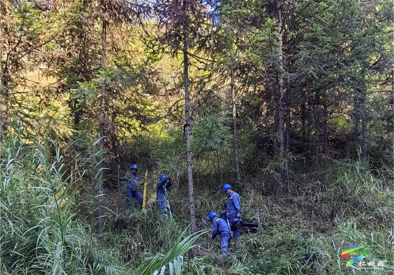 南方电网松桃供电局：“自己活自己干” 秋检跑出“加速度”