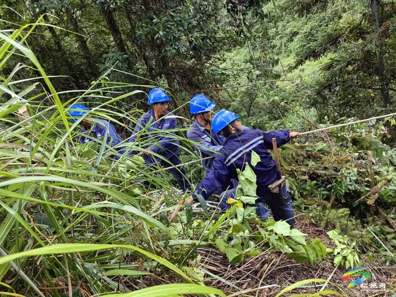 南方电网松桃供电局：“自己活自己干” 秋检跑出“加速度”