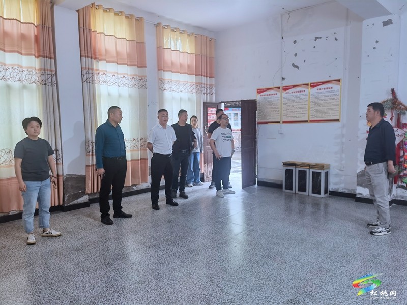 市文体广电旅游局评估组到妙隘乡综合文化站开展评估定级工作