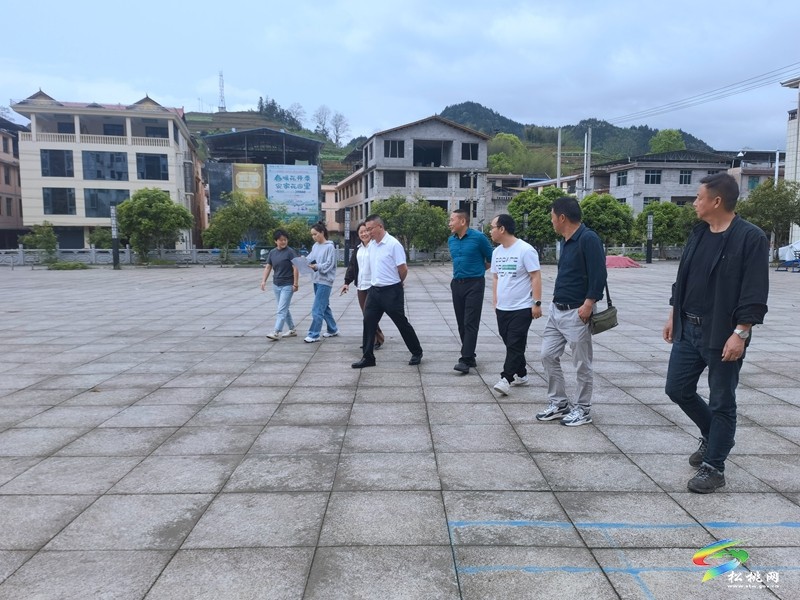 市文体广电旅游局评估组到妙隘乡综合文化站开展评估定级工作