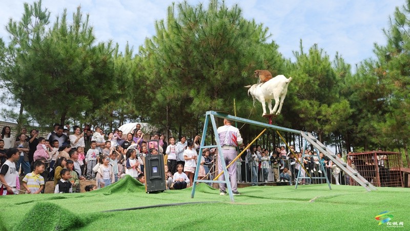 国庆嗨翻天，遛娃又添打卡点！松桃绿宸动物园热闹非凡！