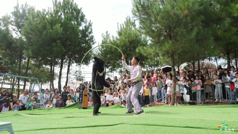 国庆嗨翻天，遛娃又添打卡点！松桃绿宸动物园热闹非凡！