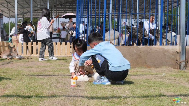 国庆嗨翻天，遛娃又添打卡点！松桃绿宸动物园热闹非凡！