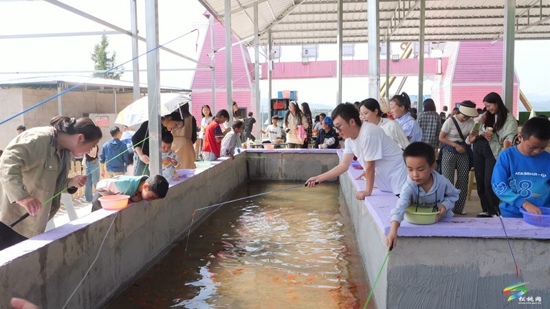 国庆嗨翻天，遛娃又添打卡点！松桃绿宸动物园热闹非凡！