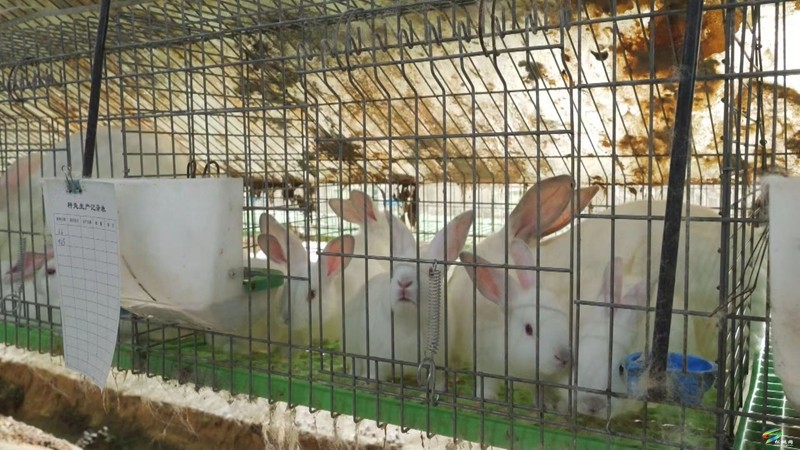 松桃：金融活水润泽红色沃土