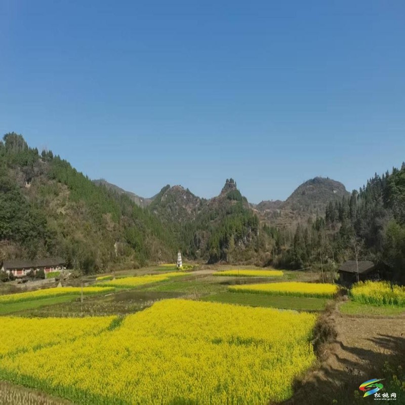 驻村帮扶前赴后继，村庄变化日新月异