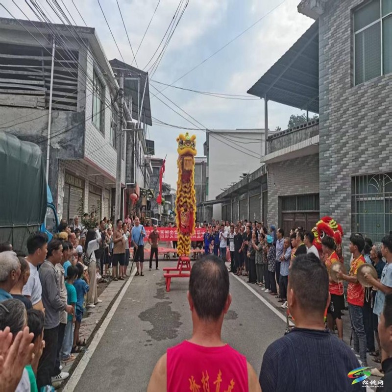 驻村帮扶前赴后继，村庄变化日新月异