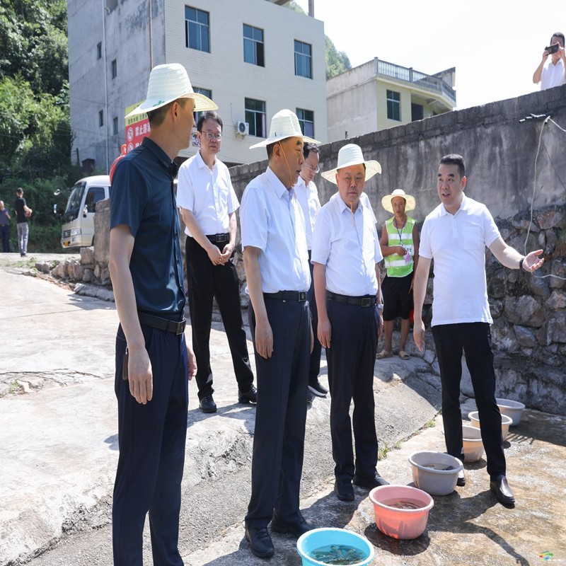 副省长董家禄率队来松调研