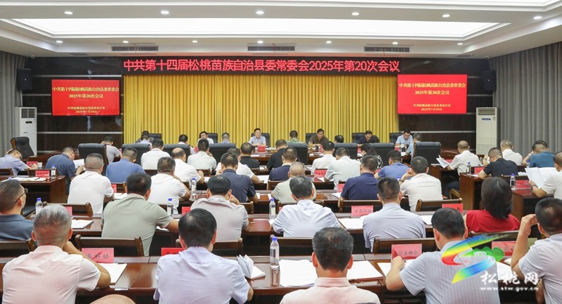 县委常委会2025年第20次会议召开