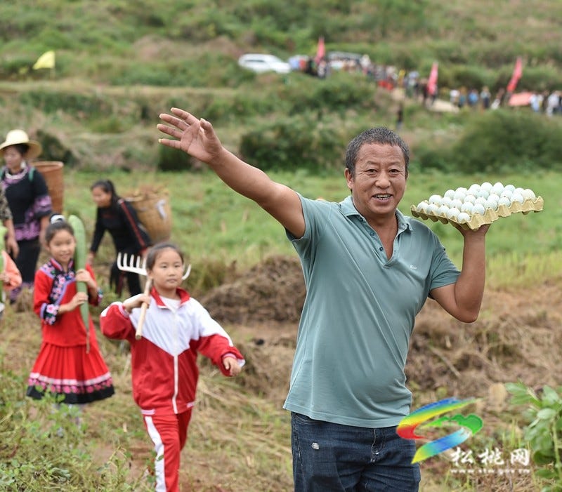 【吃贵州“晚饭”·看松桃村晚】松桃村晚·且听泥喃：走进黄板镇珍珠花生的“花样年华”