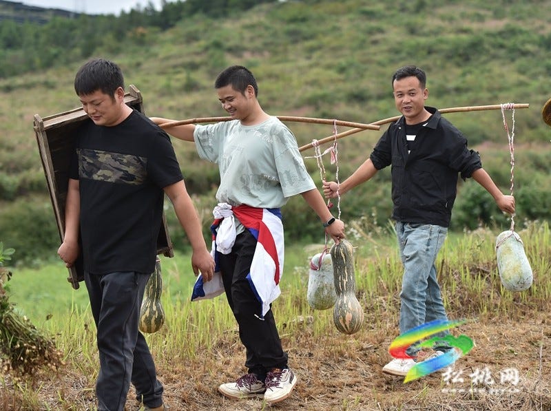【吃贵州“晚饭”·看松桃村晚】松桃村晚·且听泥喃：走进黄板镇珍珠花生的“花样年华”