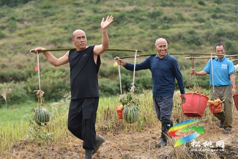 【吃贵州“晚饭”·看松桃村晚】松桃村晚·且听泥喃：走进黄板镇珍珠花生的“花样年华”