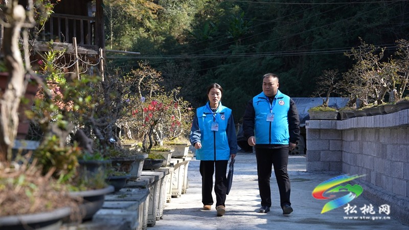 党建领航 数据赋能新征程——国家统计局松桃调查队深入学习贯彻党的二十届四中全会精神