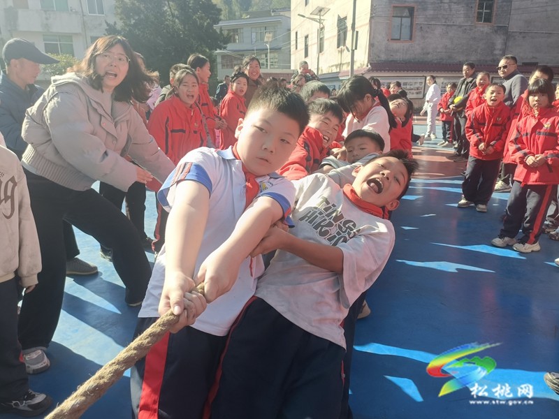 妙隘乡完小举办第 25 届学生田径运动会