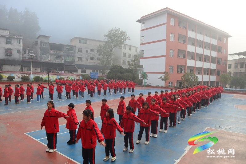 妙隘乡完小举办第 25 届学生田径运动会