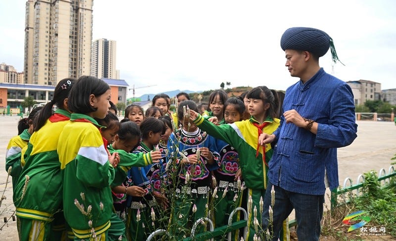 松桃第六完小：中医药科普进校园  播撒文化传承种子