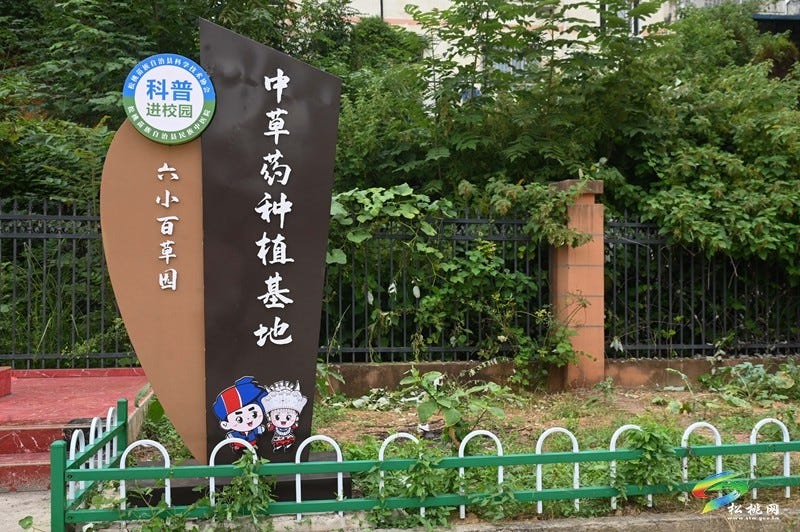 松桃第六完小：中医药科普进校园  播撒文化传承种子