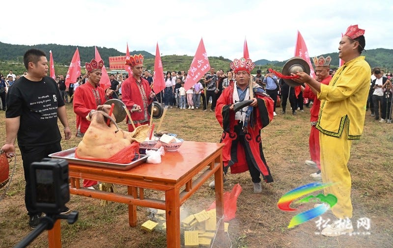 【吃贵州“晚饭”·看松桃村晚】松桃村晚·且听泥喃：走进黄板镇珍珠花生的“花样年华”