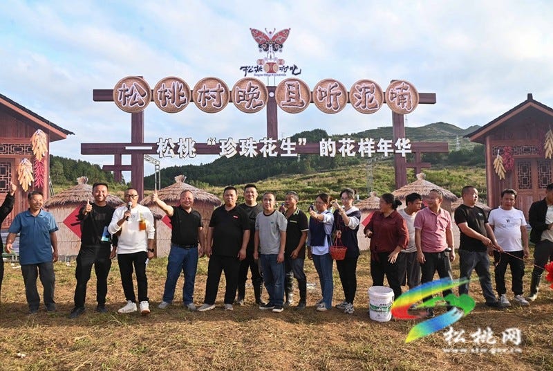 【吃贵州“晚饭”·看松桃村晚】松桃村晚·且听泥喃：走进黄板镇珍珠花生的“花样年华”