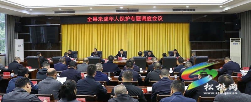 全县未成年人保护专题调度会议召开