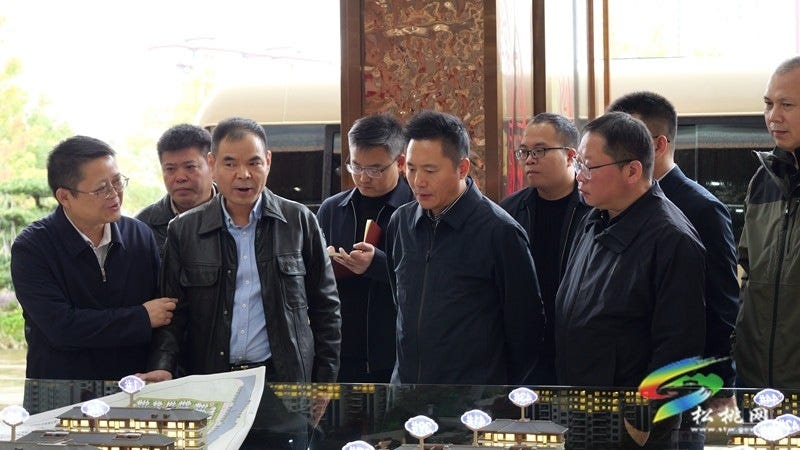 陈琪到城区调研房地产项目建设推进情况