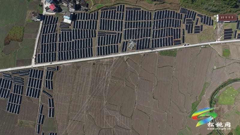 产业扎根乡村旺 松桃2000亩羊肚菌抢冬种