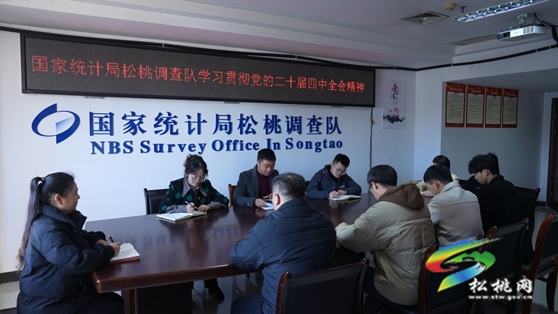党建领航 数据赋能新征程——国家统计局松桃调查队深入学习贯彻党的二十届四中全会精神