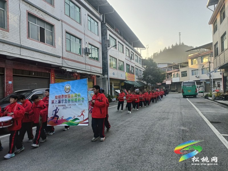 妙隘乡完小举办第 25 届学生田径运动会