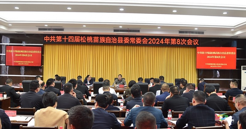 县委常委会2024年第8次会议召开